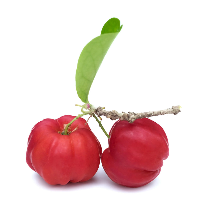 3 CHÊNES Acerola VitC 500, tabletid N24, nuotrauka Nr. 2